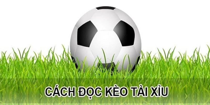 Bật mí cách đọc kèo cá độ tài xỉu 1.5