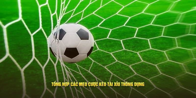 Một vài bí kíp giúp người chơi thắng đậm khi cá độ tài xỉu bóng đá