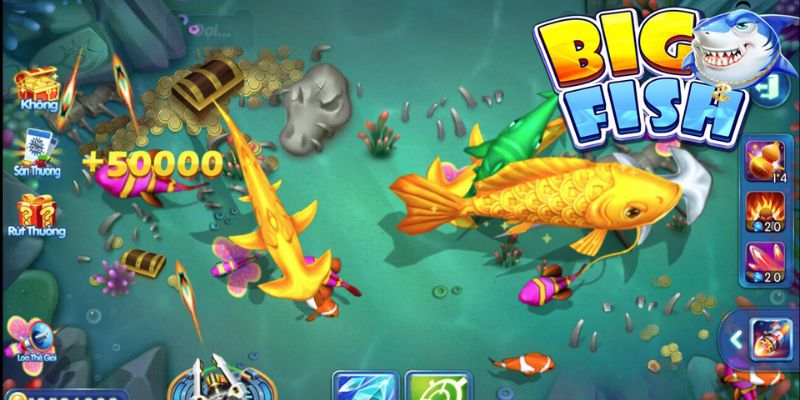 Săn cá đi theo đàn tại bắn cá h5 đổi thưởng